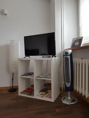 Telewizja i/lub zestaw kina domowego w obiekcie Studio Centrum