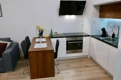 Kuchnia lub aneks kuchenny w obiekcie Sarmacka Apartment in Wilanów