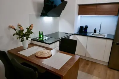 Kuchnia lub aneks kuchenny w obiekcie Oś Królewska - Modern Apartment in Wilanów