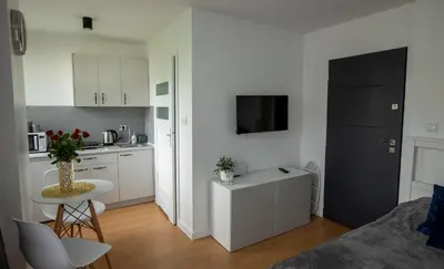 Kuchnia lub aneks kuchenny w obiekcie Apartament Kuba