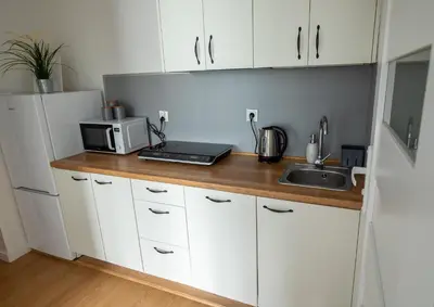Kuchnia lub aneks kuchenny w obiekcie Apartament Iga