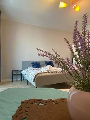 Plan piętra w obiekcie Marcina Kasprzaka 29c
