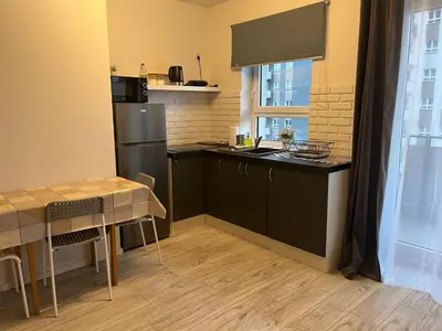 Kuchnia lub aneks kuchenny w obiekcie Apartament Stanczyka 2