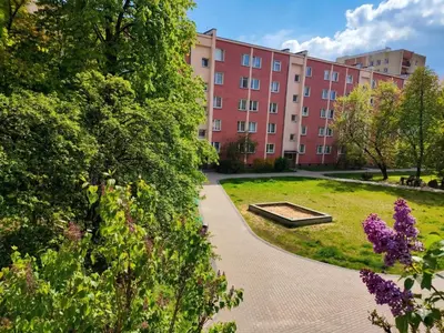 Ogród w obiekcie Zielony Żoliborz