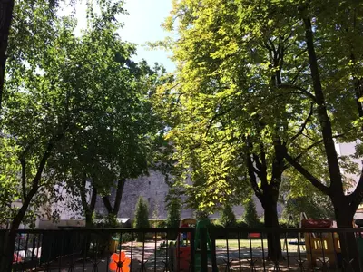 Ogród w obiekcie Warszawa Centrum Designerski Apartament z Wanną