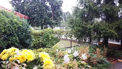 Ogród w obiekcie Apartament z parkingiem