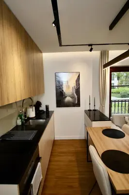 Kuchnia lub aneks kuchenny w obiekcie Luxury 2-room apartment in Praga-Północ Port Praski