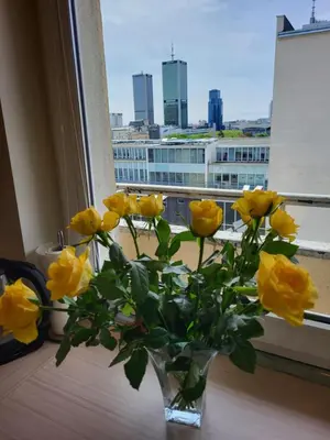 Plan piętra w obiekcie City View Studio Chmielna