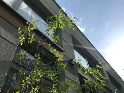 Budynek, w którym mieści się apartament