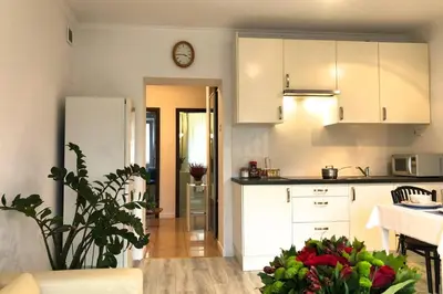 Kuchnia lub aneks kuchenny w obiekcie City center- large apartment with National Musee view