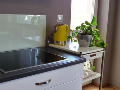 Kuchnia lub aneks kuchenny w obiekcie Apartamenty Silver Premium