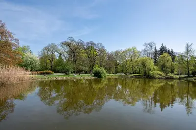 Przyroda w pobliżu tego apartamentu