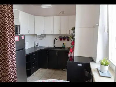 Kuchnia lub aneks kuchenny w obiekcie Apartament nad Balatonem