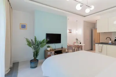 Telewizja i/lub zestaw kina domowego w obiekcie PLATER PREMIUM APARTMENTS
