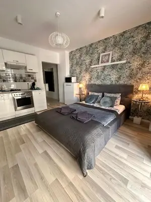 Kuchnia lub aneks kuchenny w obiekcie Nice Stay Apartment Centrum