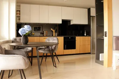 Kuchnia lub aneks kuchenny w obiekcie Luxurious, Spacious, Modern Gem. Great Location !