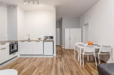 Kuchnia lub aneks kuchenny w obiekcie Warsaw City Travel Apartments