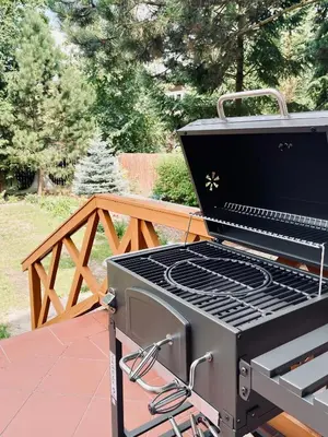 Sprzęt do grillowania w willi