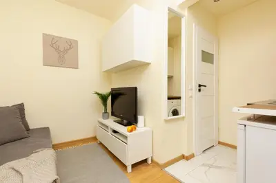 Kuchnia lub aneks kuchenny w obiekcie Micro Apartment Miączyńska by Noclegi Renters
