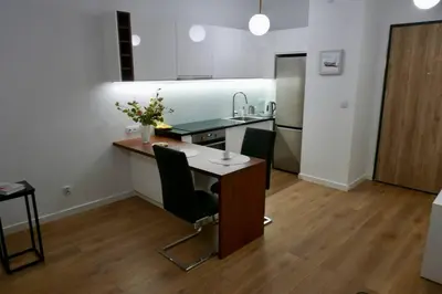 Kuchnia lub aneks kuchenny w obiekcie Kieślowskiego Apartment vis-a-vis Town Hall
