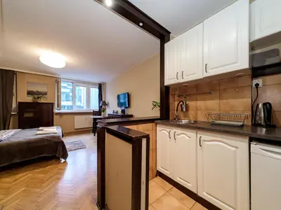 Kuchnia lub aneks kuchenny w obiekcie Sliska 10 apartament