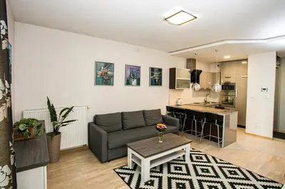 Kuchnia lub aneks kuchenny w obiekcie Murano Apartaments