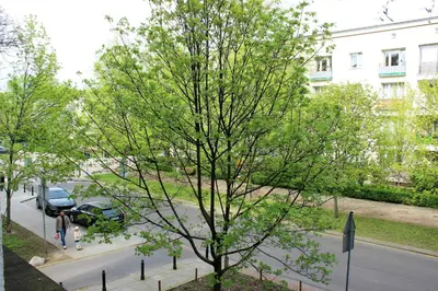 Plan piętra w obiekcie Labo Apartment Karmelicka
