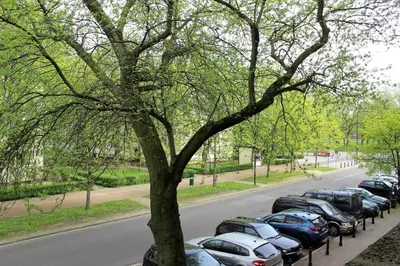 Plan piętra w obiekcie Labo Apartment Karmelicka