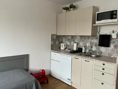 Kuchnia lub aneks kuchenny w obiekcie Apartament Słodowiec