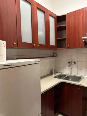 Kuchnia lub aneks kuchenny w obiekcie Centrum Apartamenty