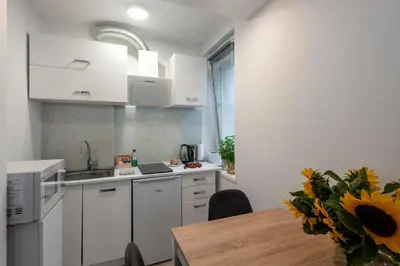 Kuchnia lub aneks kuchenny w obiekcie ShortStayPoland Sienna (B62)