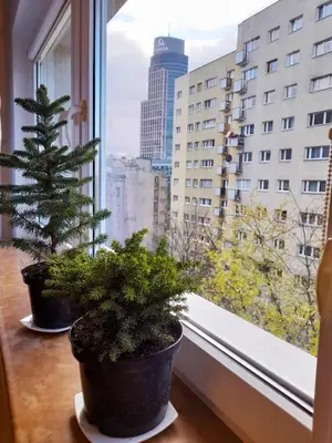 Plan piętra w obiekcie Apartament Ogrodowa Studio Warszawa