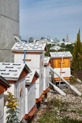 Budynek, w którym mieści się hotel