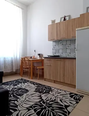 Kuchnia lub aneks kuchenny w obiekcie Przytulne apartamenty Nowy Świat Centrum Lok 1