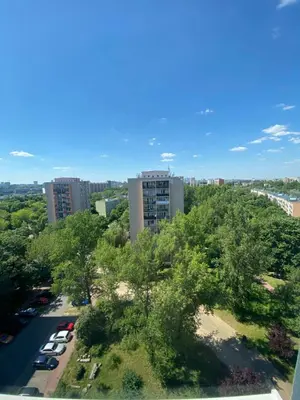 Przyroda w pobliżu tego apartamentu