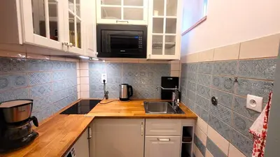 Kuchnia lub aneks kuchenny w obiekcie Balladyny7 Art Déco Światłowód