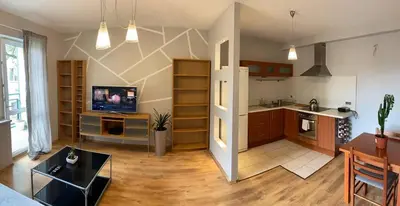 Kuchnia lub aneks kuchenny w obiekcie Murano Apartaments Nova Praga