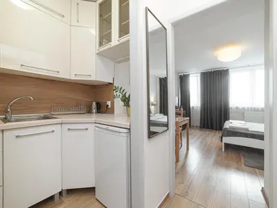Kuchnia lub aneks kuchenny w obiekcie Sliska 10 Apartament II