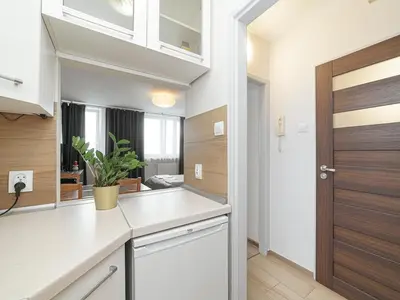 Kuchnia lub aneks kuchenny w obiekcie Sliska 10 Apartament II