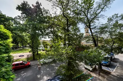 Przyroda w pobliżu tego apartamentu