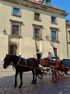 Plan piętra w obiekcie Castle Inn