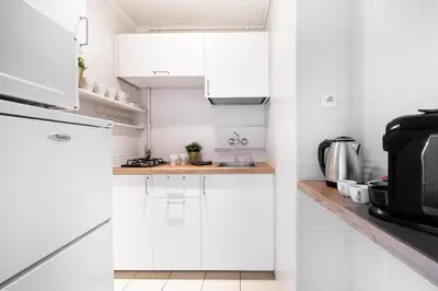 Kuchnia lub aneks kuchenny w obiekcie Labo Apartment Żelazna Brama