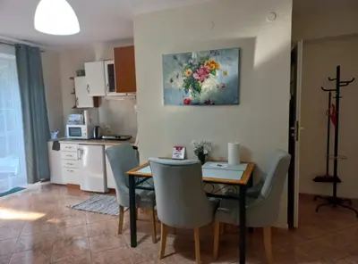 Kuchnia lub aneks kuchenny w obiekcie Apartament Sadul