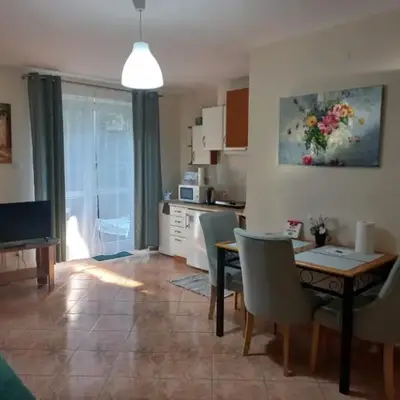 Apartament Sadul