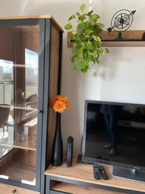 Telewizja i/lub zestaw kina domowego w obiekcie Apartament Metro Służew