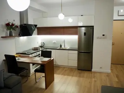 Kuchnia lub aneks kuchenny w obiekcie Zdrowa Apartment in Wilanów