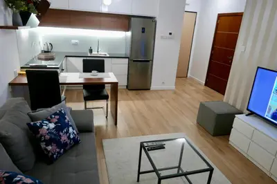 Kuchnia lub aneks kuchenny w obiekcie Zdrowa Apartment in Wilanów