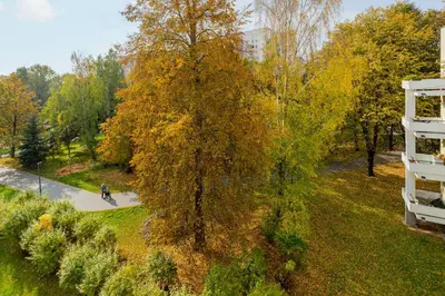 Przyroda w pobliżu tego apartamentu