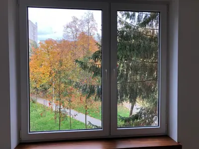 Ogród w obiekcie Verdant Sadyba