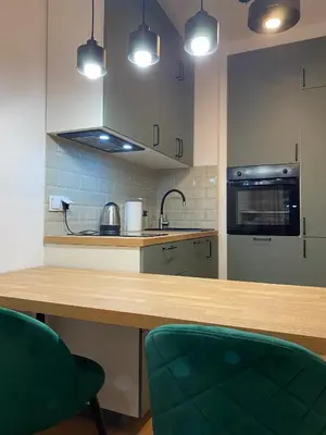 Kuchnia lub aneks kuchenny w obiekcie Airport Green Apartment KL21 - air condition & free parking